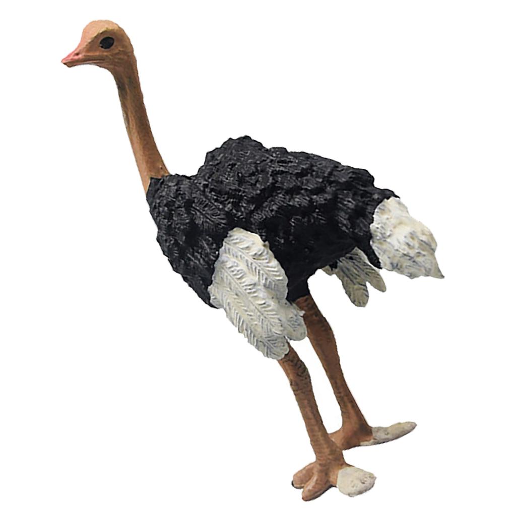 Realistic Ostrich Figurine Lifelike Educational Learning Simulated Ostrich Wildlife Animal Toy Figure for Boys Girls