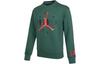 Sweatshirts Men's Green Crew Neck Moderate Regular DO9153-333