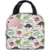 Insulated Lunch Bags for Men Women Work Dinosaur Print B Soft Cooler Bag Insulated for Travel Water Proof Small Adult Lunch Box