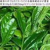 Kiyosui O-chugen Uji Tea Gift Gyokuro Sencha Wagara Can (90g2 Cans) Japanese Green Kyoto Leaves Premium Souvenir Return