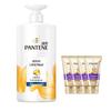 Pantene Lotion Repair Anti-Schuppen Shampoo & Spülung Set
