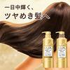 lux Super Rich Shine Damage Repair Shampoo Conditioner Pump Pair 400g+400g+70g