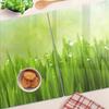 Multifunctional Decorative Glass Boards with Grass Print 2x40x52 cm