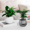 Self Watering Flowerpot with Transparent Bottle And Water Level View Self-Absorbing Cotton Rope Planter Double-Layer Flower Pot for Indoor Plants And