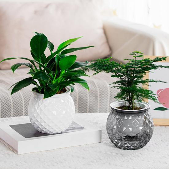 Self Watering Flowerpot with Transparent Bottle And Water Level View Self-Absorbing Cotton Rope Planter Double-Layer Flower Pot for Indoor Plants And