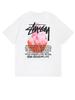 T-Shirt Stussy