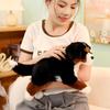 Adorable Bernese Mountain Dog Plush Toy – Realistic Sheepdog Cloth Doll Gift