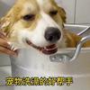 Escova de banho para animais de estimação, shampoo, escova de massagem, silicone macio, pente para limpeza de cães e gatos, ferramenta de limpeza