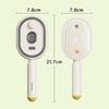 Hair Care Spray Massage Comb Electric Hair Massage Brush with Spray Function Aromatherapy Mist Detangling Anti Static Comb