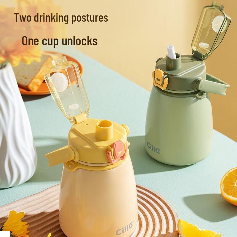 Cille 880ml Portable Insulated Bottle