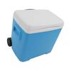 Outdoor Camping Cooler Box Multipurpose Portable Lasting Camping Incubator for Camping Fishing BBQ Picnic 30L