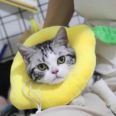 Coleira anti-lambedura ajustável para gatos fatias de pão torrado Círculo Elizabeth círculo de lenço esterilizado cobertura de cabeça para animal de estimação macia fofa estilosa