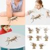 Wood 3D Puzzle Insect Model Disassembled Puzzle Block Kits Set for Children and Collectors Early Learning Education Toy