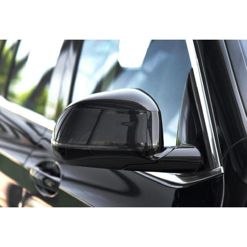 Dynamic Black LED Turn Signal Light Sequential Rearview Mirror Light For BMW X3 F25 X4 F26 X5 F15 X6 F16 2014-2018 AcessoriosTurn Signal 2