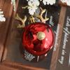 2pcs Cute Elk Christmas Ball Xmas Tree Hanger Ornaments Plastic Pendants New Year Hanging Decoration For Home Party Supply