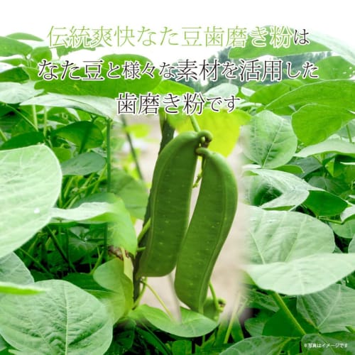 Traditional Refreshing Sword Bean Toothpaste 120g (Pack of 10)