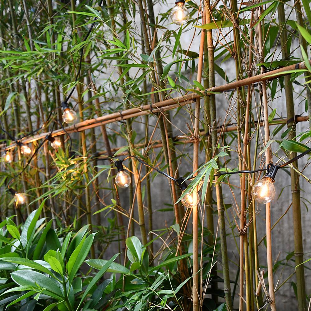 Tomshine AC 220V-240V 21,33ft E12 Sockel G40 LED Lichterkette Nicht Dimmbar 12+1 Globus-Glühbirnen IP