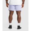 Gymshark Lightweight Jersey Shorts Silver Lilac A5a6j Pbvs