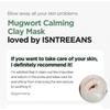 Isntree - Mugwort Calming Clay Mask Mini