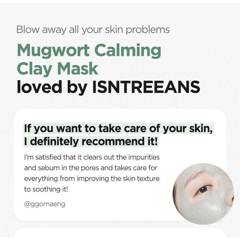 Isntree - Mugwort Calming Clay Mask Mini