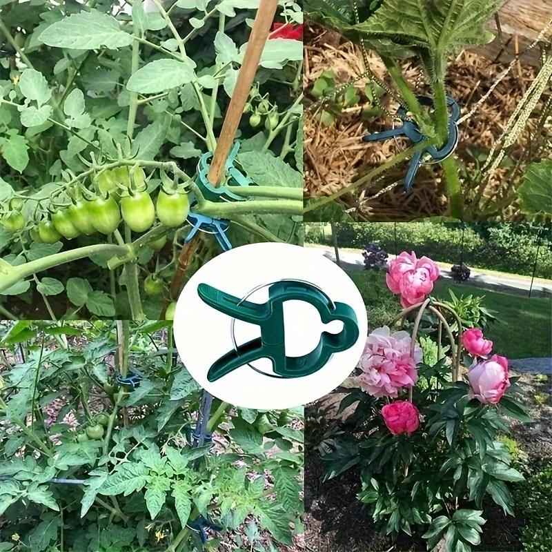 20/100pcs Heavy-Duty Garden Plant Clips | Reusable Quick-Clip Green Plastic Supports for Tomatoes, Cucumbers, Vines, Roses
