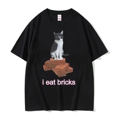 I Eat Bricks Cute Cat Funny Meme Graphic TShirt Summer for Men Women Fashion Clothing Tshirt ONeck Short Sleeve T Shirts Tops