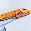 ARCADORA 1500 Scale 15cm Aircraft ANA Sea Turtle Painting Alloy Airplane Model