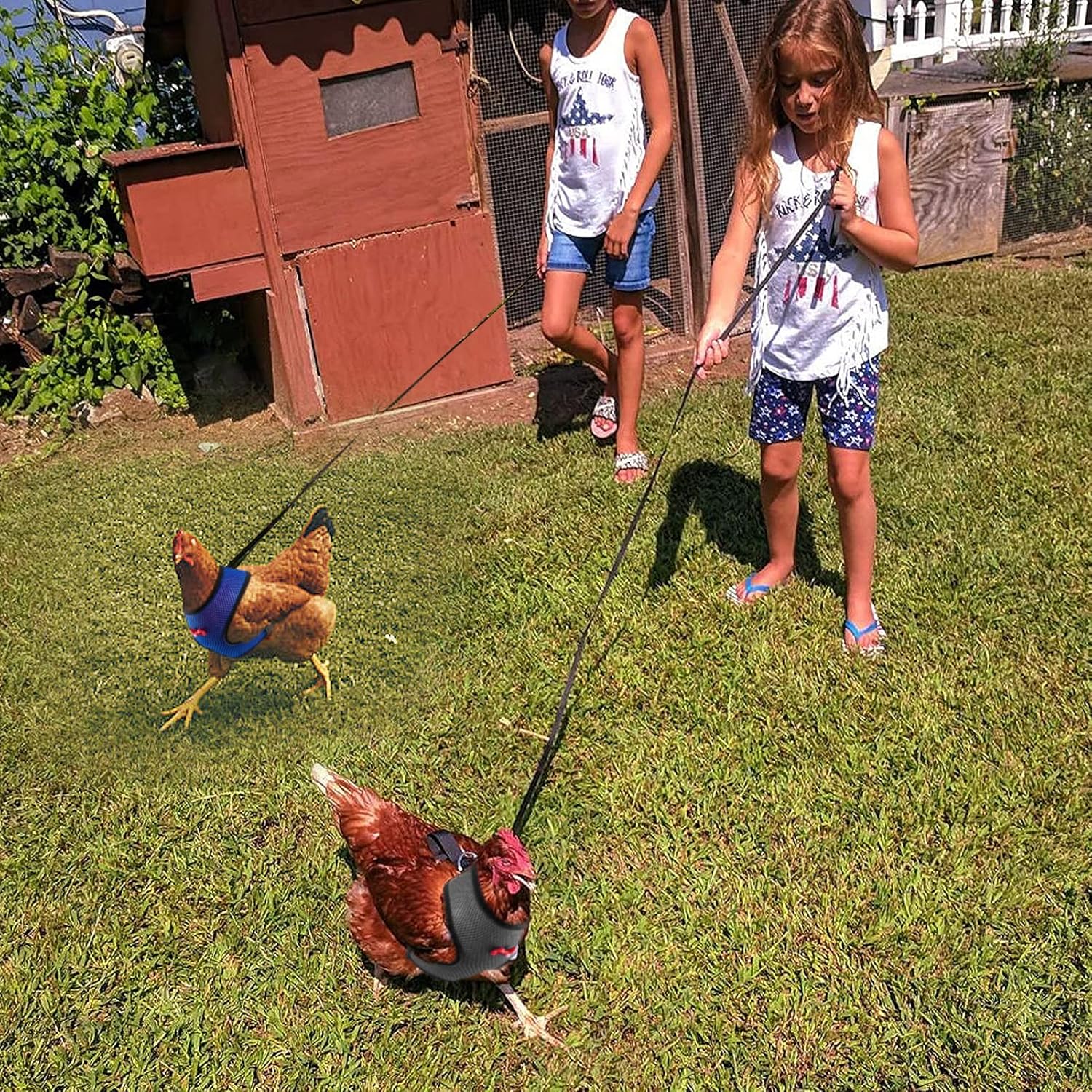 4 Pcs Adjustable Chicken Harness with Leash- 4 Styles Comfortable Hen Vest Breathable Mesh Training Harness and Leash for 2.5-3.6 Lb Duck Goose Hen