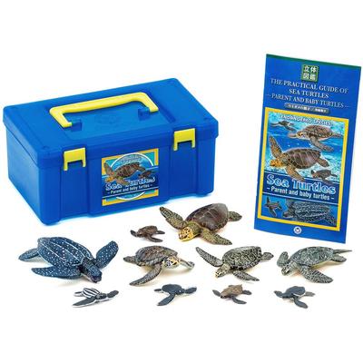 COLORATA Deniz Kaplumbağası Ebeveyn ve Çocuk Figürü 3D Resimli Kitap 5 Çeşit 10 Adet Kullanım Kılavuzu Gerçekçi Figür Kutu Oyuncak Eğitici Oyuncak Hediye
