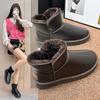 Snow Boots Women's New Winter Fur Integrated Thick-soled Piled Thickened Leather Cotton Shoes Large Size Warm Boots Women