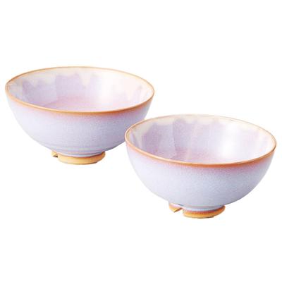 Japanese Ceramics Tsubakihide Kiln Hagimurasaki Set Rice Bowl M54875350
