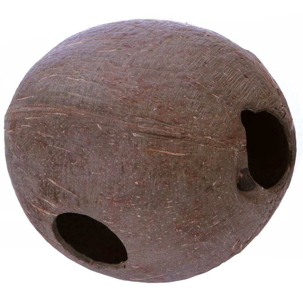 Natural Hideout Cave Smooth Coconut Terrarium for Reptiles 10-12cm