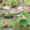 Breathable Aquatic Plant Baskets PVC Mesh Lotus Planter Reusable Pond Planting Bags  Patio Backyard