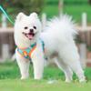 Pet Chest Strap Vest Type Dog Strap Small Dog Rope Outdoor Reflective Breathable Dog Traction Rope Dog Collar Seat Belts