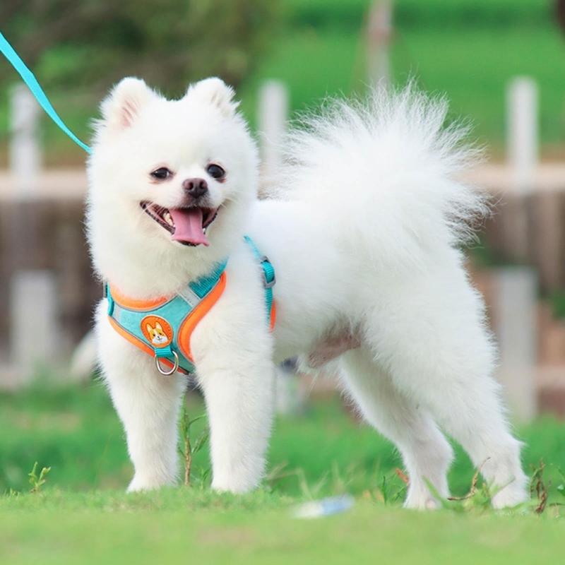 Pet Chest Strap Vest Type Dog Strap Small Dog Rope Outdoor Reflective Breathable Dog Traction Rope Dog Collar Seat Belts