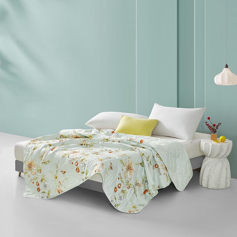 Mengjie Ultrasonic Printed Summer Quilt