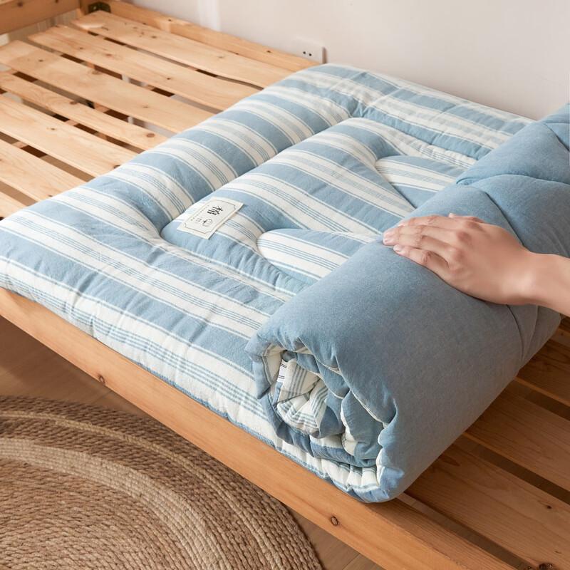 LISM Dormitory Soft Mattress Topper