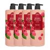 Fruit Crush Body Wash Berry Punch 900g X4