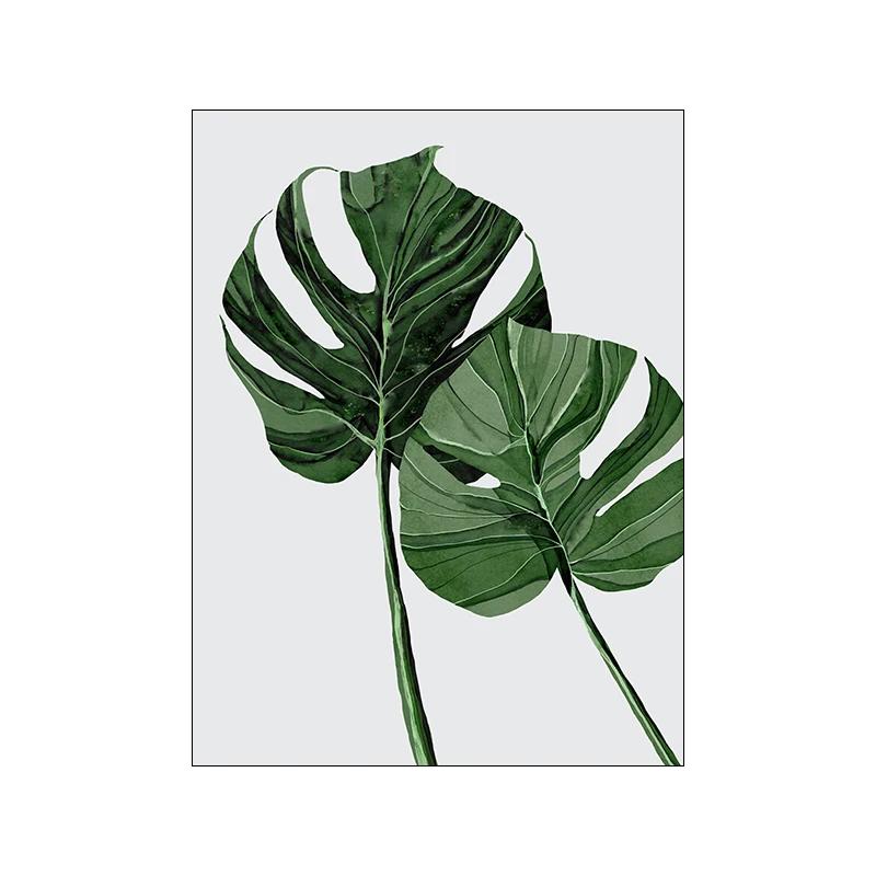 

Nordic Modern Abstract Leaves Poster Картина на холсте Зеленое растение Настенная живопись Печать Дизайн интерьера гостиной Картина Домашний декор 21cm×30cm NoFrame