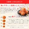 Large Ripe Nanko plumElegant Sweetness Reduced Salt Honey Content 3Kishu Plum Premium Pickled Crushed Low Flavor 400g 400g1 Piece