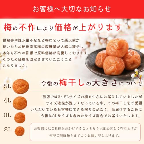 Large Ripe Nanko plumElegant Sweetness Reduced Salt Honey Content 3Kishu Plum Premium Pickled Crushed Low Flavor 400g 400g1 Piece