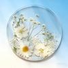 2D Acrylic Coaster Set with Pressed Flower Design Heat-Resistant Drink Mat for Coffee Cups Decorative Tableware for Mother's Day Gift Unique Home