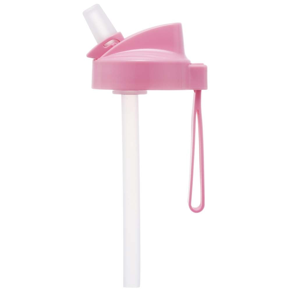 Skater Straw Bottle, 500ml Spout-Type Straw Water Bottle, Plastic, Clear, for Kids, Sanrio, My Melody, PSTB5-A