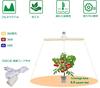 SINJIAlight Plant Grow Light, 100W Equivalent, E26 Base with Power Cord, Warm White, Full Spectrum, Suitable for Hydroponics, Indoor Cultivation, Home