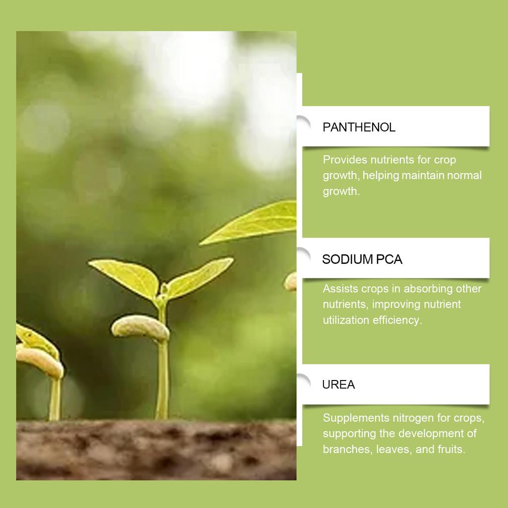 Plant Nutrient Drops, Fertilizer For Potted Plants, Daily Maintenance Solution For Plant Root, 100ml