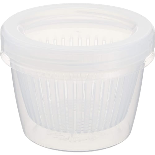 Condiment Storage Pack with Drainer and Lid, Easy-to-See Semi-Transparent Container for Green Onions, Myoga, Cherry Tomatoes, and Soba and Udon Noodle