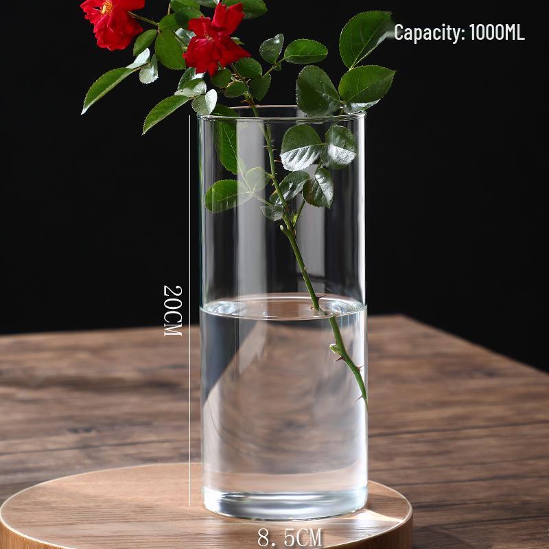 High Borosilicate Glass Hydroponic Vase & Desktop Planter - Straight Tube Design for Artistic Arrangements and Moss Ecosystem