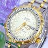 Used Citizen VEGA Vega Oxy Diver Vintage Watch #t506