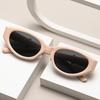 Retro Oval Bow Sunglasses Women Small Frame Designer UV400 Eyewear Fashion Outdoor Leisure Sun Glasses