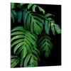 SZKLANA DESKA DO KROJENIA 40x52 Monstera